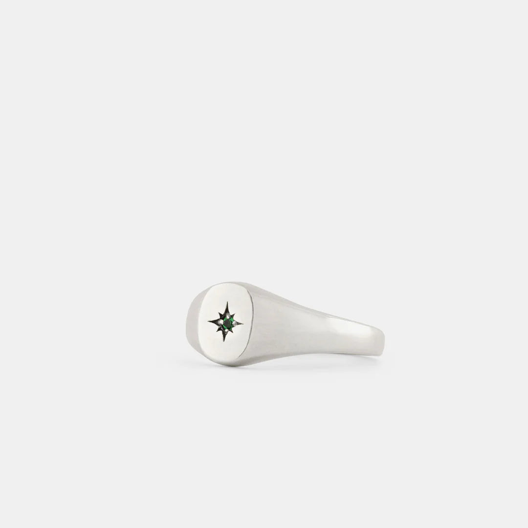 Silver Envy Signet Ring